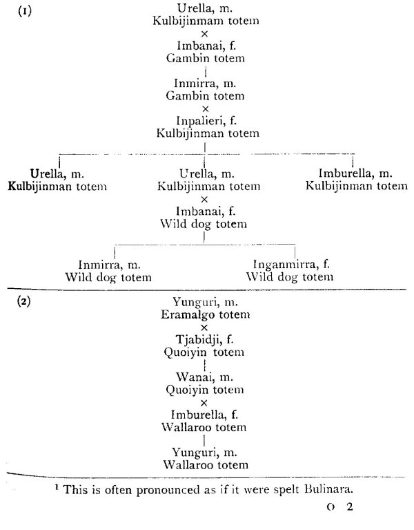 Genealogical Chart