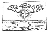 FIG. 30. HINDU SYMBOL. (GUIGNAUT, vol. iv., 2nd part, pl. ii., fig. 16.)